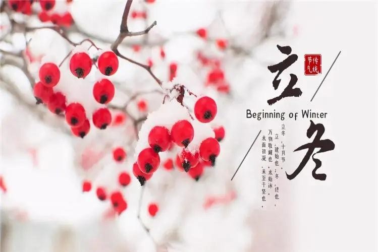 秋走冬又至，立冬啦